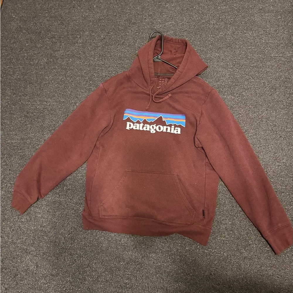 Patagonia Men's Burgundy Hoodie
